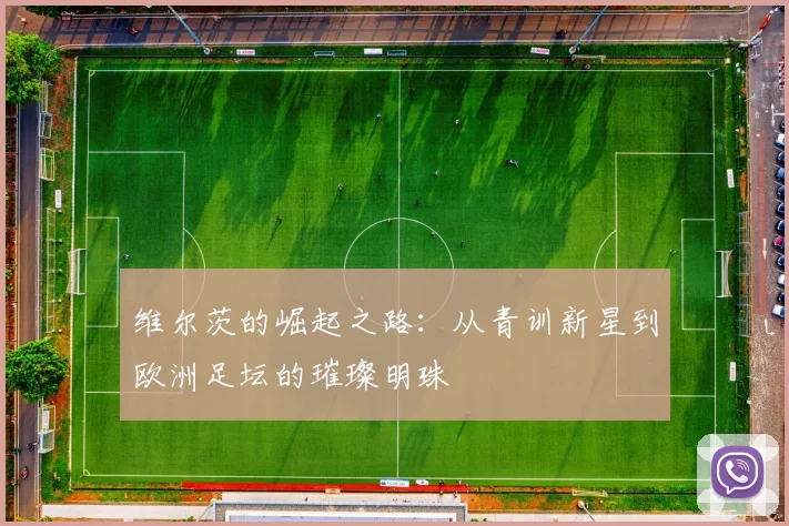 维尔茨的崛起之路：从青训新星到欧洲足坛的璀璨明珠