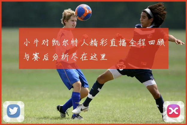 小牛对凯尔特人精彩直播全程回顾与赛后分析尽在这里