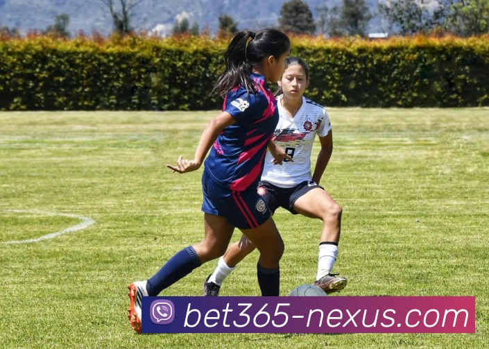 bet365体育APP 体育赛事宣传图